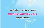 Soạn bài Tri thức ngữ văn trang 9 Ngữ văn lớp 11 Kết nối tri thức tập 1